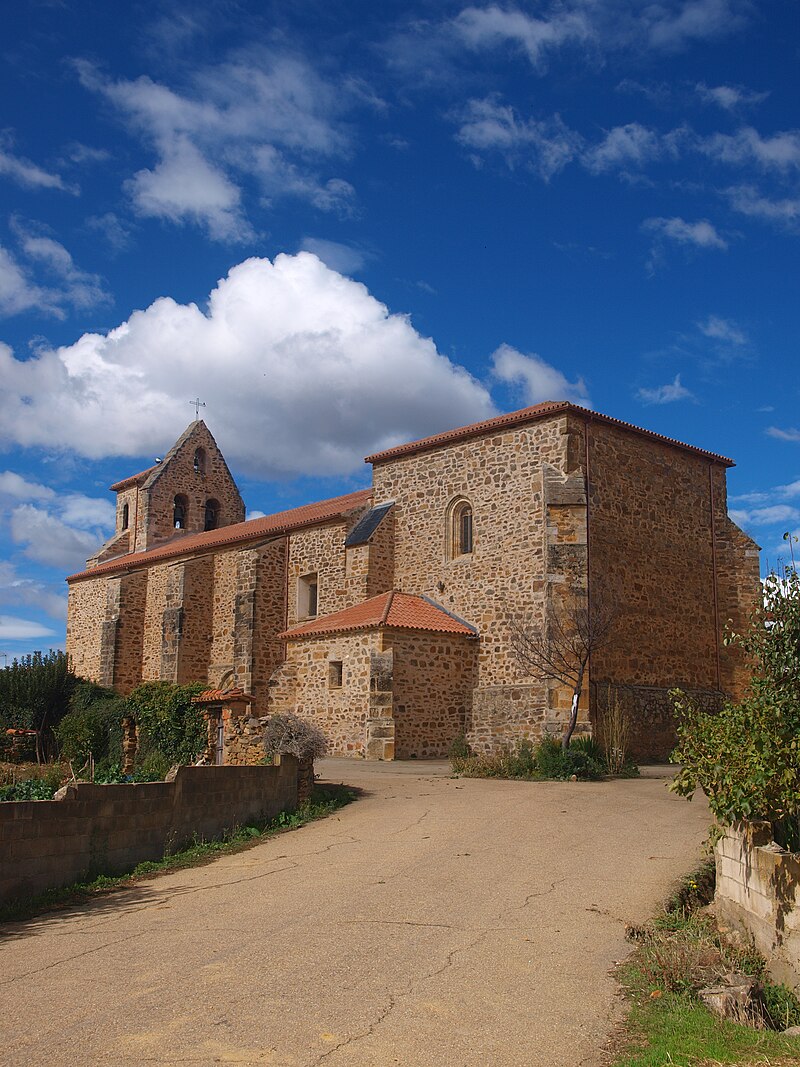 Ayoó de Vidriales, Zamora