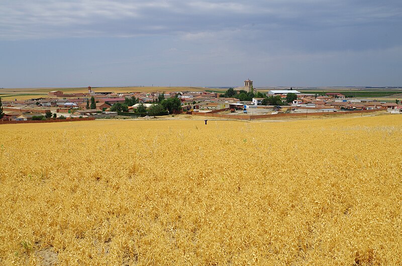 Bobadilla del Campo, Valladolid