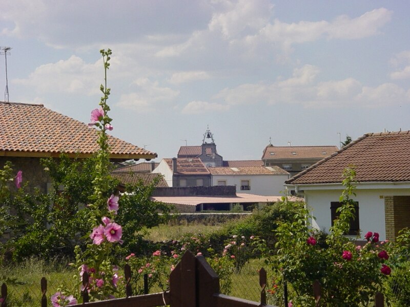 Casillas de Flores, Salamanca