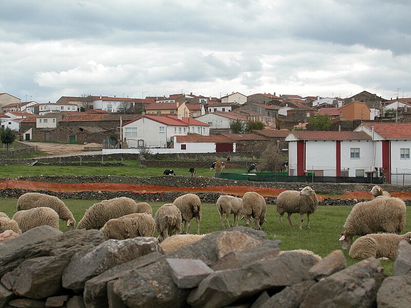 Diego del Carpio, Ávila