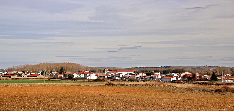Encinas de Arriba, Salamanca