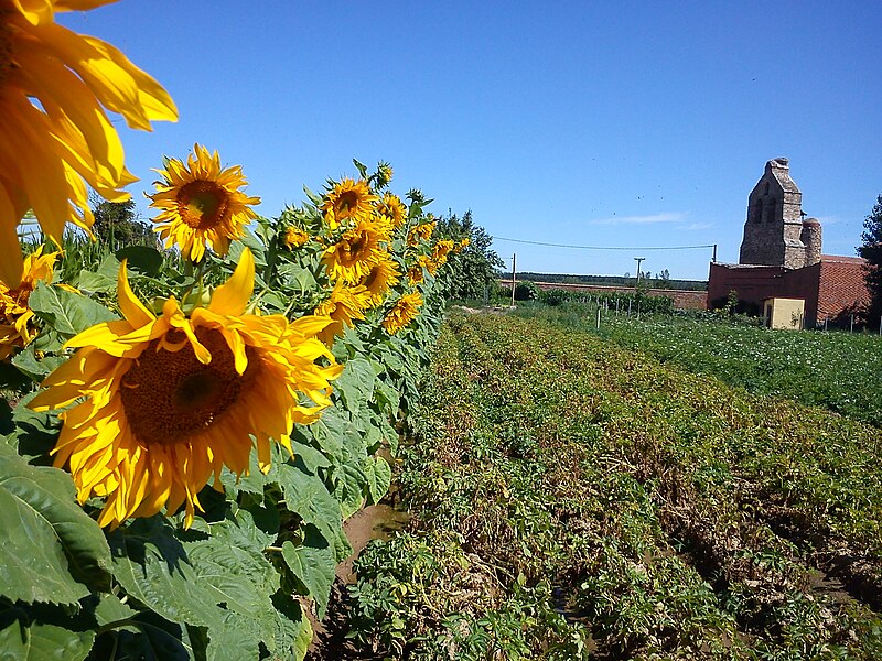 Fresno de la Polvorosa, Zamora