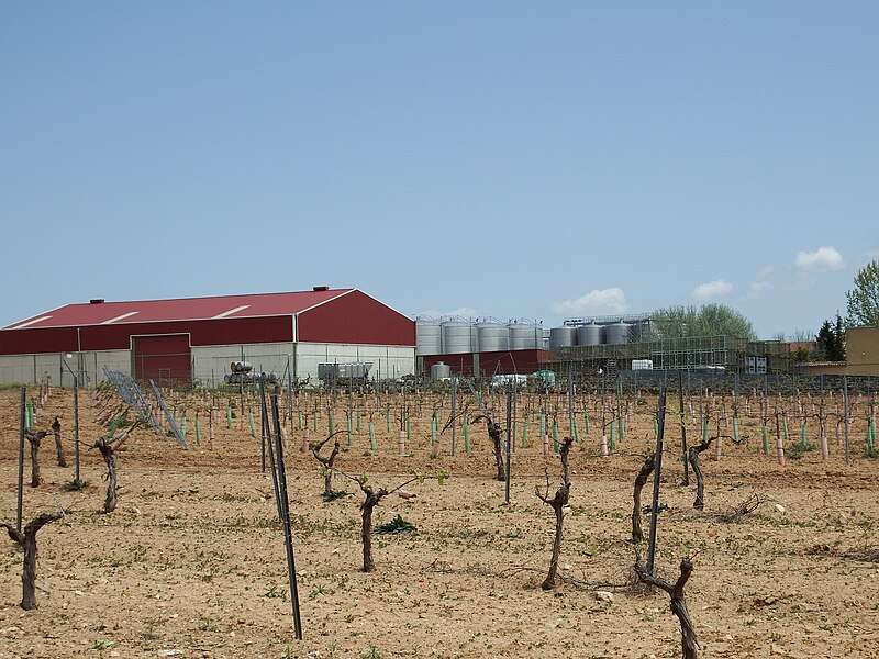 Fuente de Pedro Naharro, Cuenca