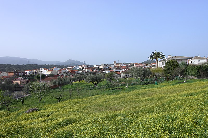 Garciotum, Toledo