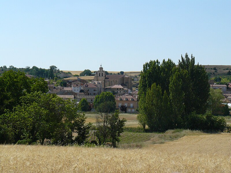 Hontoria de Valdearados, Burgos