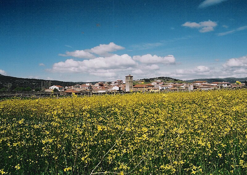 Malpartida de Corneja, Ávila