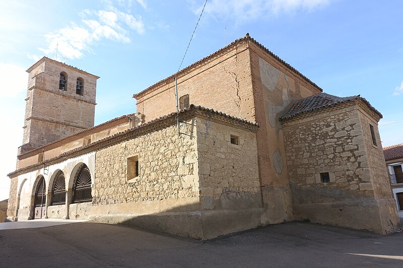 Malva, Zamora