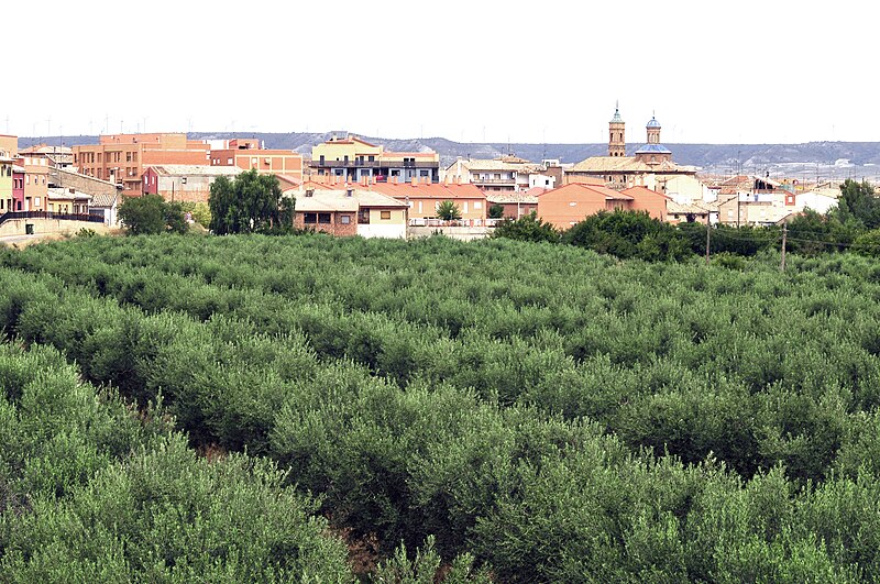 Muel, Zaragoza