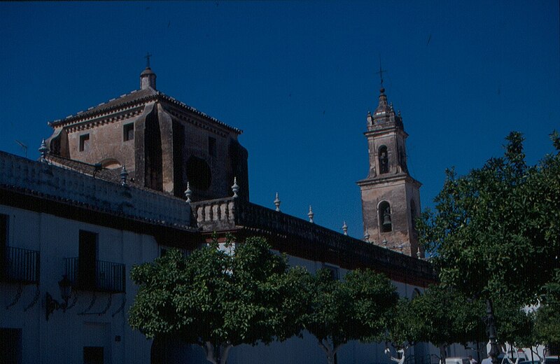 Olivares, Sevilla
