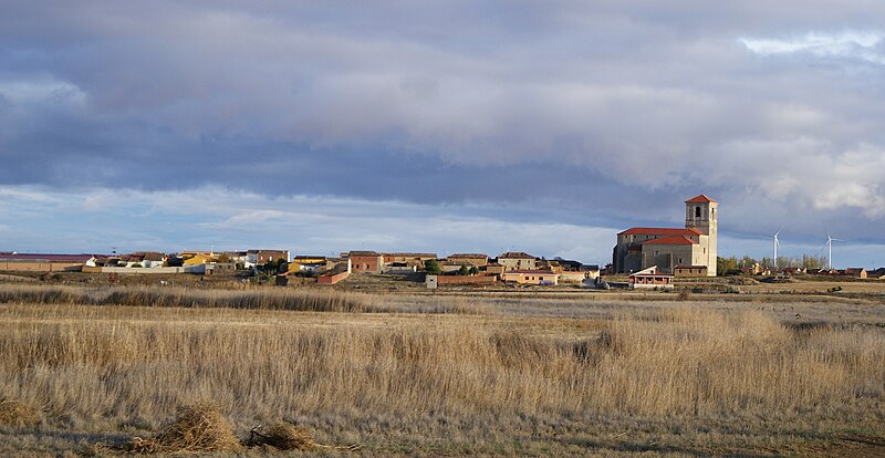 Pedraza de Campos, Palencia