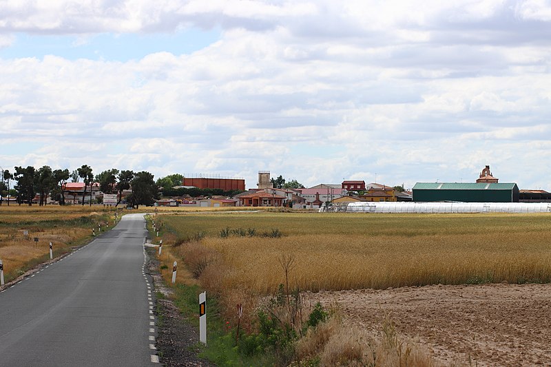 Pedro-Rodríguez, Ávila
