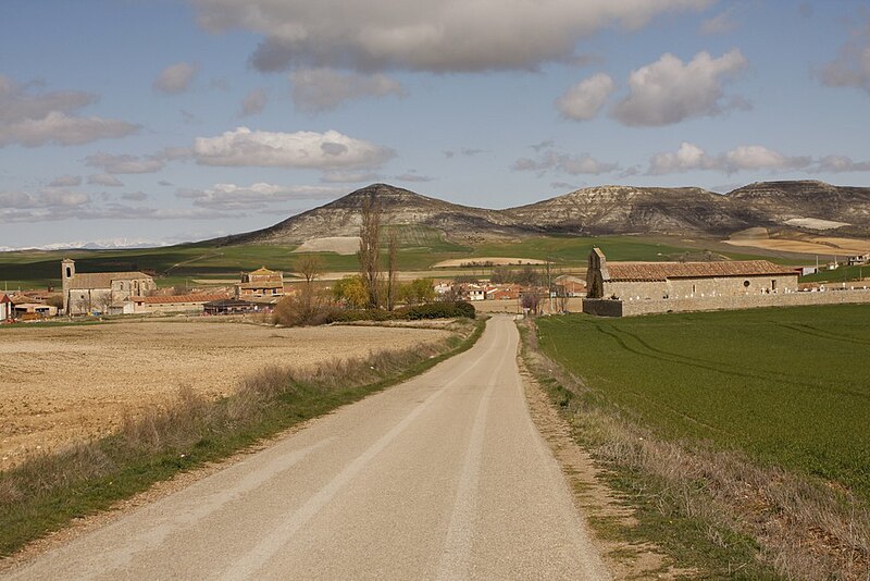 Pedrosa del Príncipe, Burgos