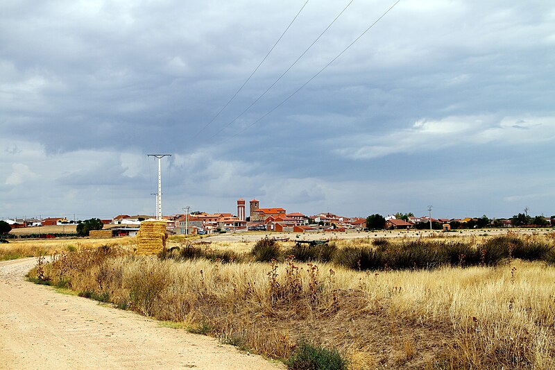 Pozal de Gallinas, Valladolid
