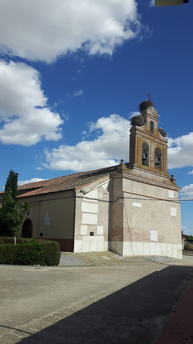 San Vicente del Palacio, Valladolid