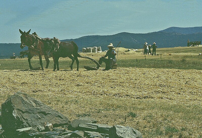 Serradilla del Llano, Salamanca