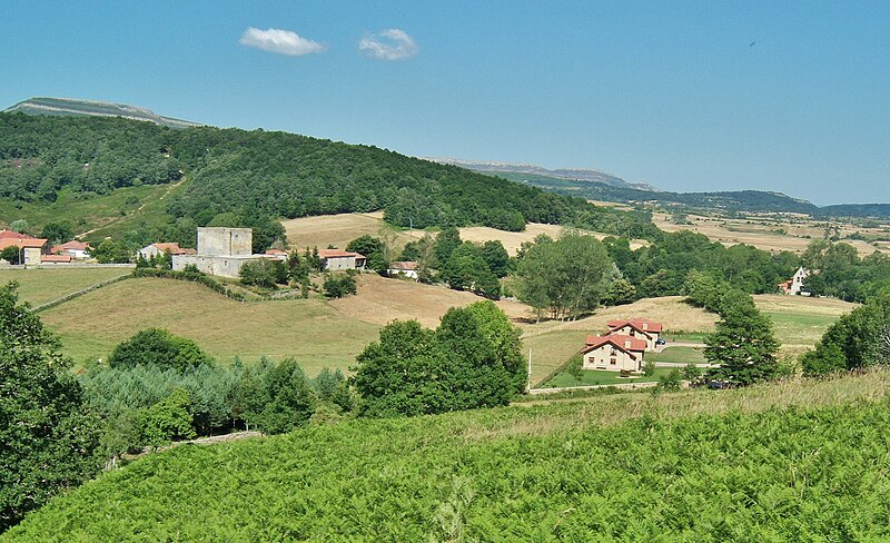 Valle de Valdebezana, Burgos