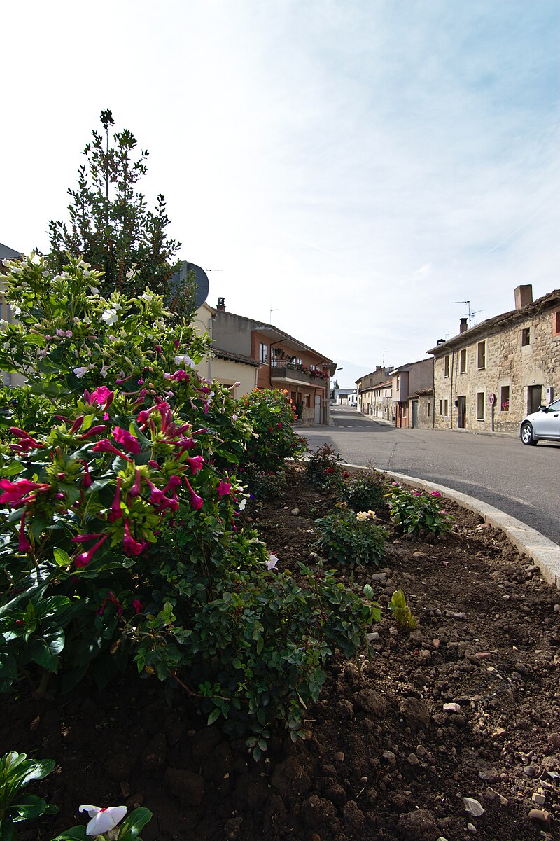 Villalbilla de Burgos, Burgos
