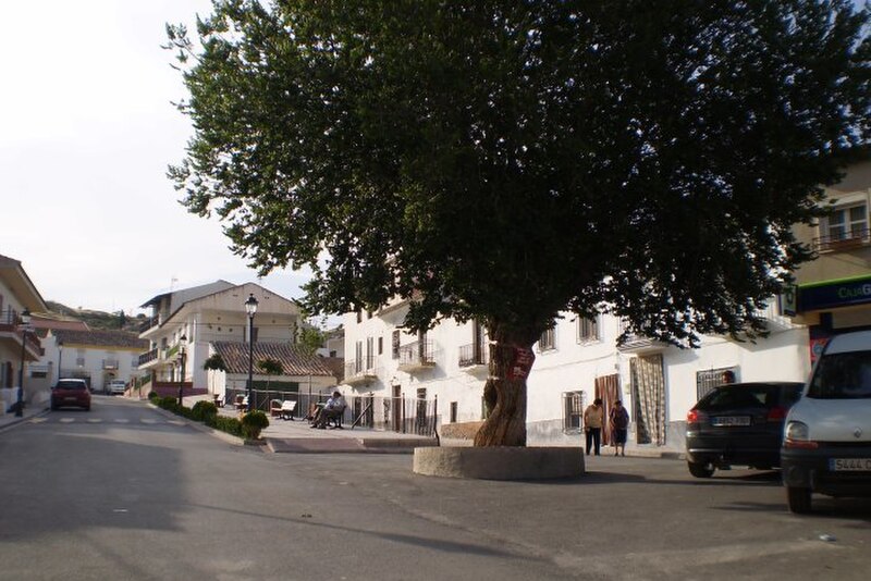 Villanueva de las Torres, Granada
