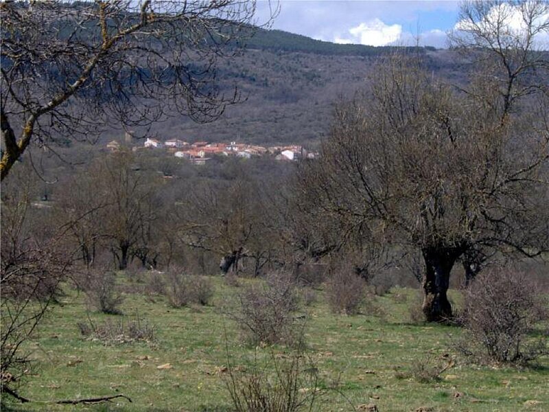 Villar del Ala, Soria